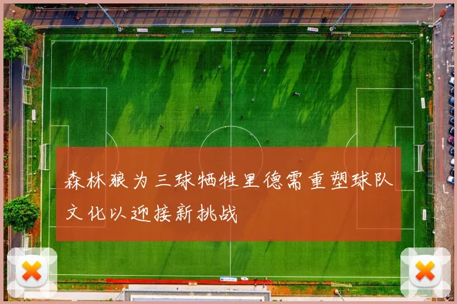 森林狼为三球牺牲里德需重塑球队文化以迎接新挑战